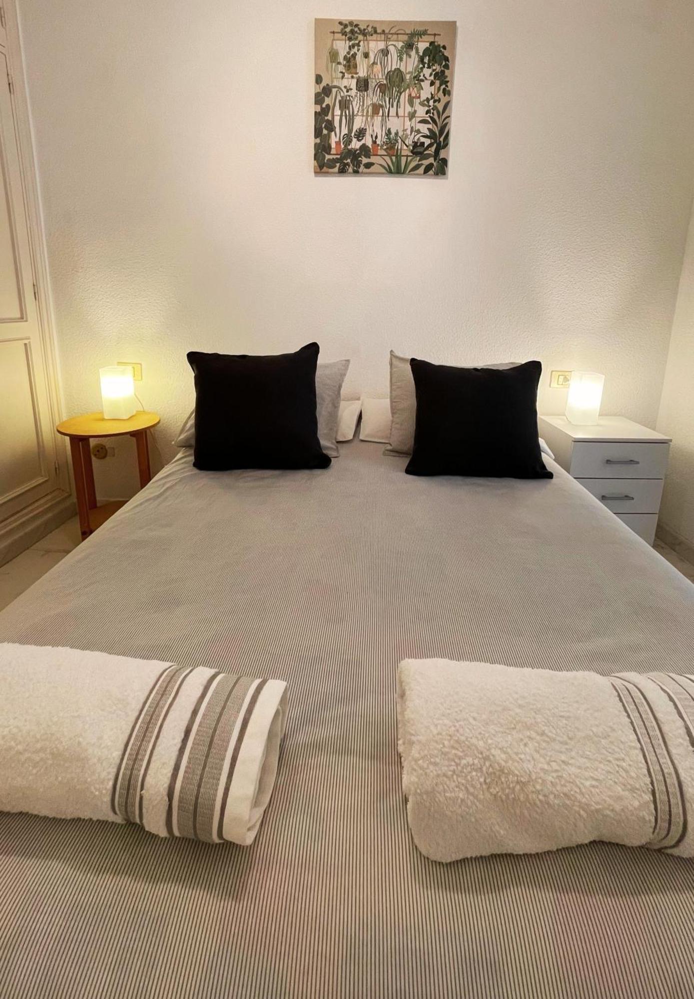 Acogedor Apartamento En El Corazon De La Laguna La Laguna  Dış mekan fotoğraf